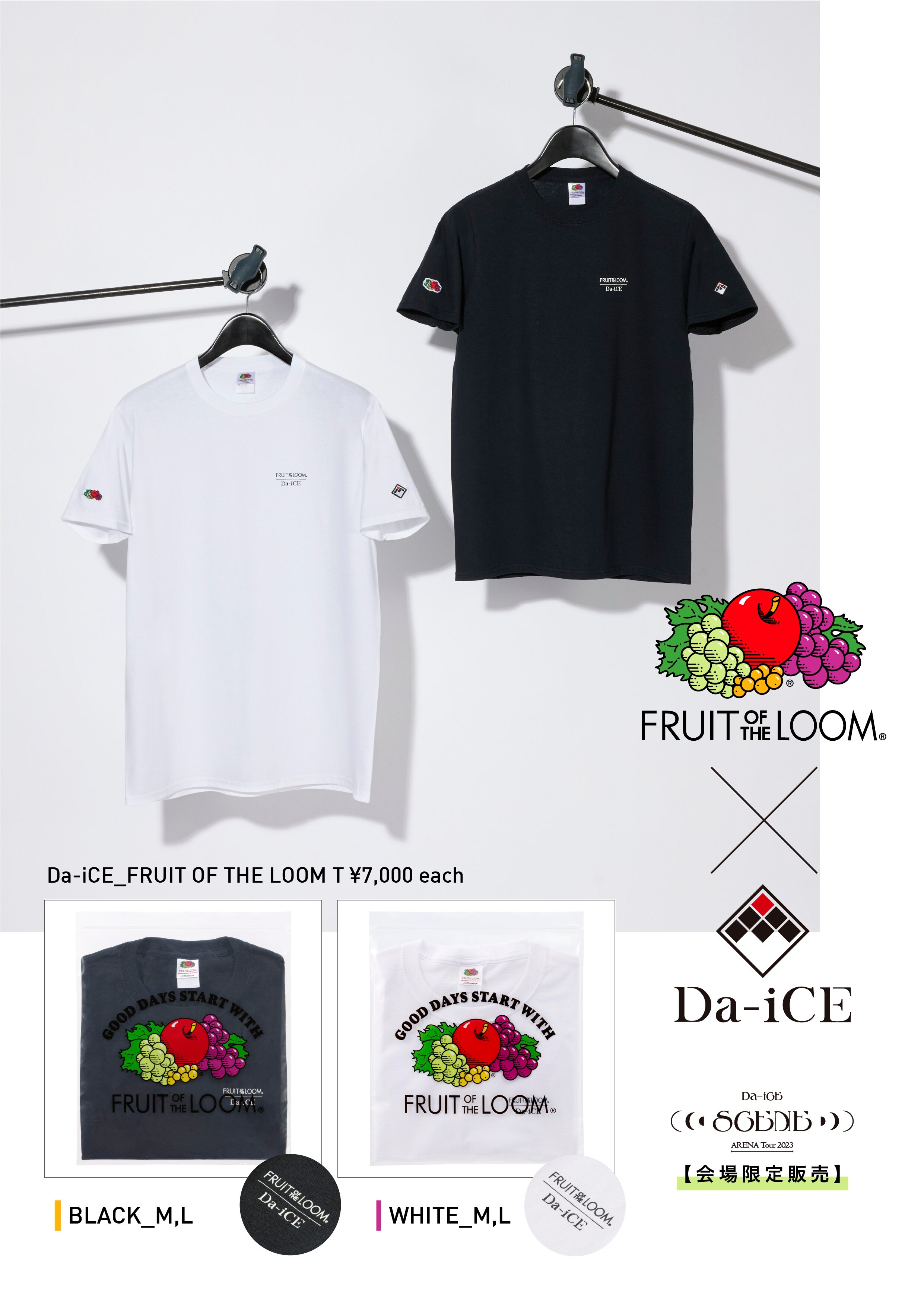 送料無料（沖縄配送） Da-iCE ARENA TOUR 2022 -REVERSi- Tシャツ