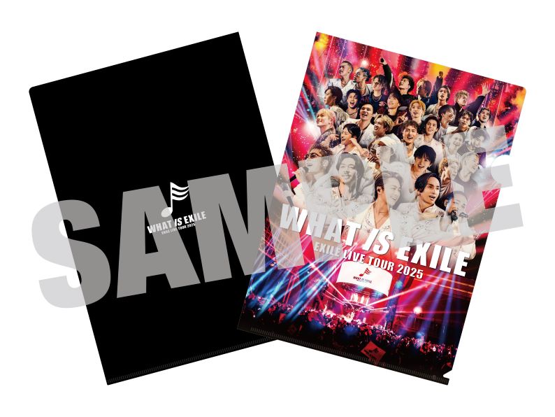 EXILE ライブ DVD まとめ売り EXILEツアーDVDまとめ売り！！