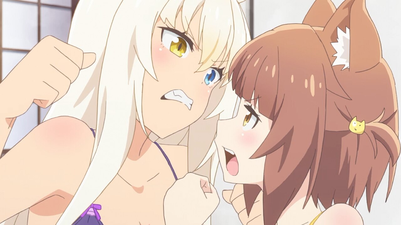 Story Tvアニメ ネコぱら 公式サイト