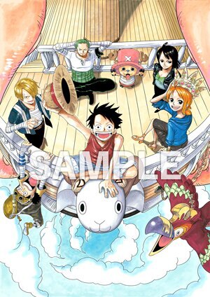 One Piece Eternal Log Products One Piece ワンピース Dvd公式サイト