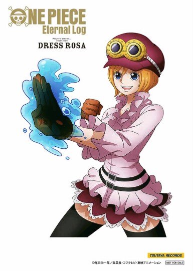 ONE PIECE Eternal Log\