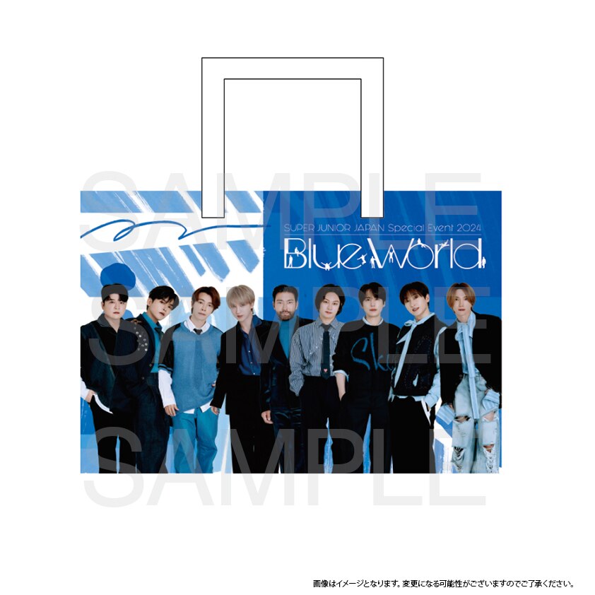 SuperJunior 1/20 プレミアムシート トレカ ９枚セット - アイドル